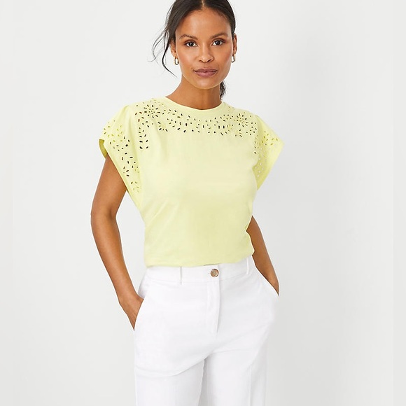 Ann Taylor Tops - ⭐️ NWT Ann Taylor Eyelet Cap Sleeve Tee Scoop Neck Size XL